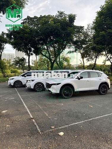 Cho thuê xe tự lái và có tài HCM