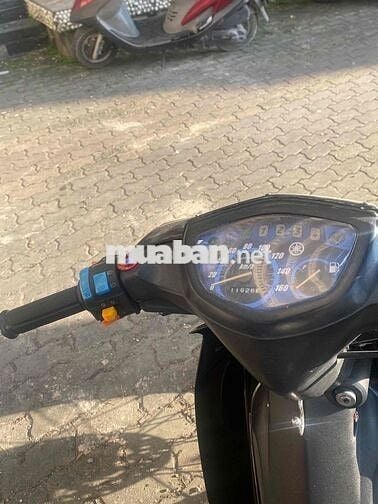 em dọn kiểng sơ sơ rồi xe có cavet bị lạc mất