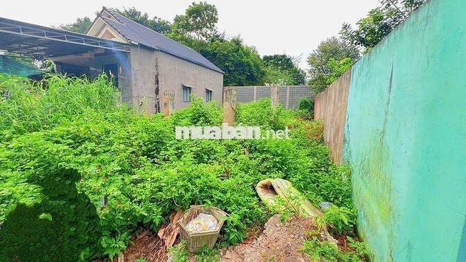 CHÍNH CHỦ NGỘP BANK, BÁN GẤP LÔ BIỆT THỰ 9X20 LONG PHƯỚC, TP. BÀ RỊA