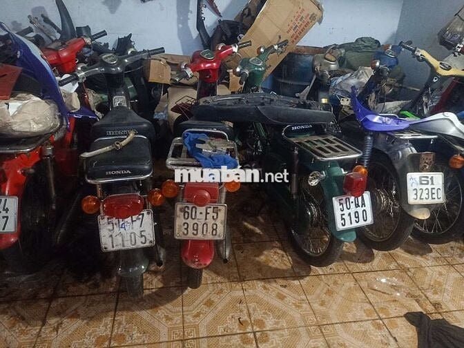 Xe Cub như hình ảnh có giấy tờ