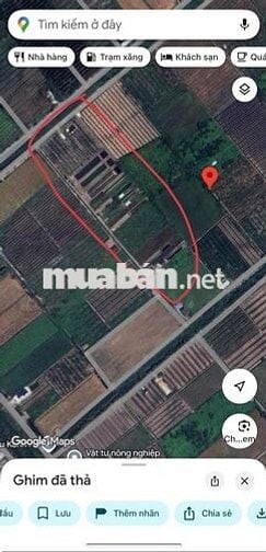 Chính chủ cần bán 3 lô đất Thủ Thừa _Long an ( Tây Ninh)