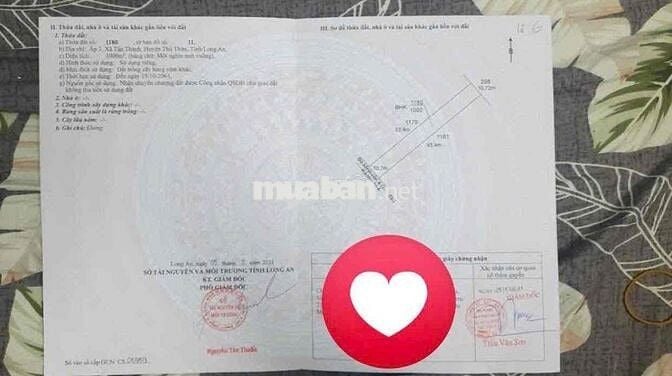 Chính chủ cần bán 3 lô đất Thủ Thừa _Long an ( Tây Ninh)