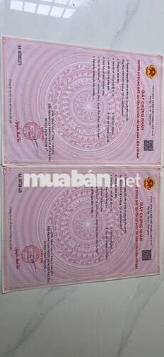 🏡 BÁN ĐẤT GIÁ TỐT - DÂN CƯ ĐÔNG ĐÚC 🌳