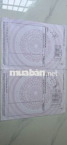 🏡 BÁN ĐẤT GIÁ TỐT - DÂN CƯ ĐÔNG ĐÚC 🌳