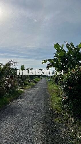 🏡 BÁN ĐẤT GIÁ TỐT - DÂN CƯ ĐÔNG ĐÚC 🌳