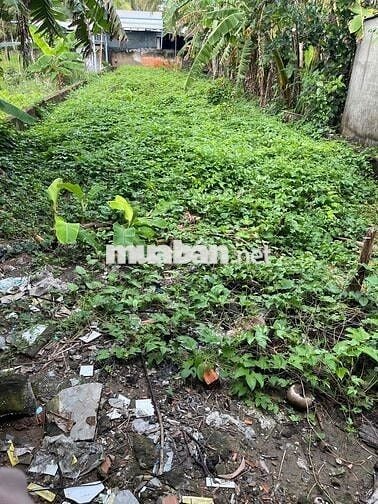 e chính chủ bán đất mặt tiền tỉnh 911 ngay công ty giày bitis bảo tiên