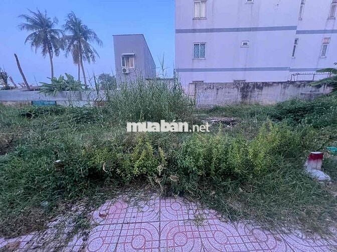 BÁN LÔ ĐẤT ĐẸP KHU PHÂN LÔ ĐỒNG BỘ ĐƯỜNG HÀ HUY GIÁP PHƯỜNG THẠNH LỘC