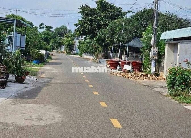 🌿 BÁN NHÀ VƯỜN SINH THÁI 10.000m² SẴN NHÀ LỚN - ĐƯỜNG NHỰA CỰC ĐẸP, ĐN