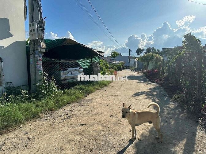 Bán lô đất rẻ ở Diên Điền, Diên Khánh full thổ cư giá chỉ 7tr5/m,m