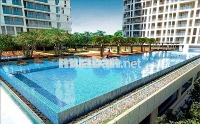 Bán CCu GREEN TOWN BÌNH TÂN, 43m2, 2PN, SHR lâu dài