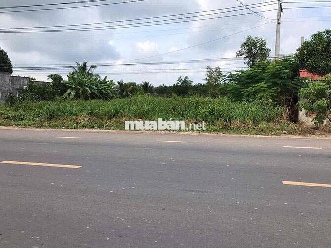 cần bán gấp lô đất mặt tiền đường 793