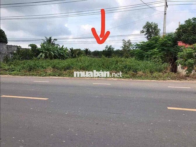 cần bán gấp lô đất mặt tiền đường 793