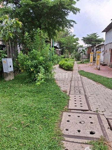 BÁN GẤP NHÀ NÁT 78/5G XUÂN THỚI ĐÔNG 3 , XÃ XUÂN THỚI SƠN( XTĐ cũ )