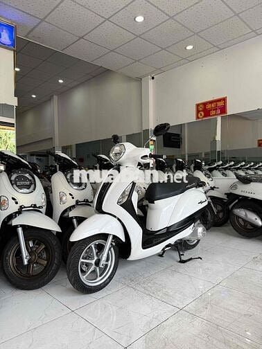 GRANDE 2016. Xe Zin Êm Đẹp - Máy Zin Cực Êm - 68