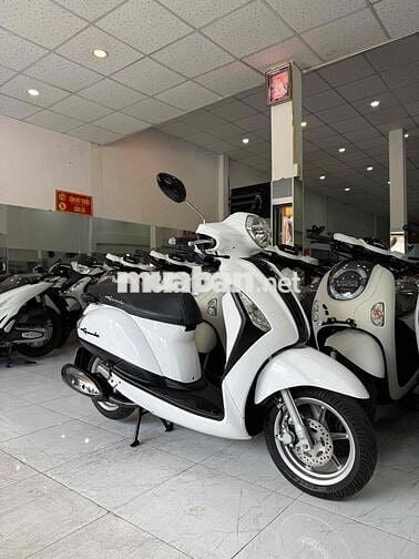 GRANDE 2016. Xe Zin Êm Đẹp - Máy Zin Cực Êm - 68