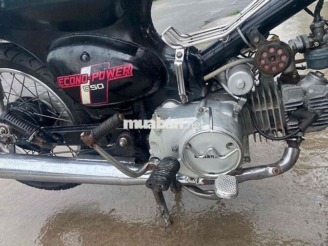 Wave Thái 100 Giá 9,8Tr wave110 6,5 cúp lùn 5,8tr