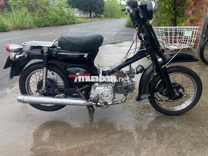 Wave Thái 100 Giá 9,8Tr wave110 6,5 cúp lùn 5,8tr