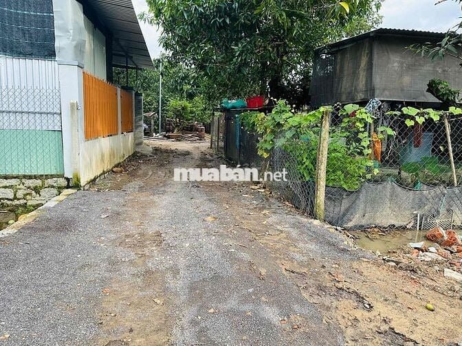 Đất dân cắt bán Diên Điền - DK gần bệnh viện - giá chỉ 7tr5/m.   - DT: