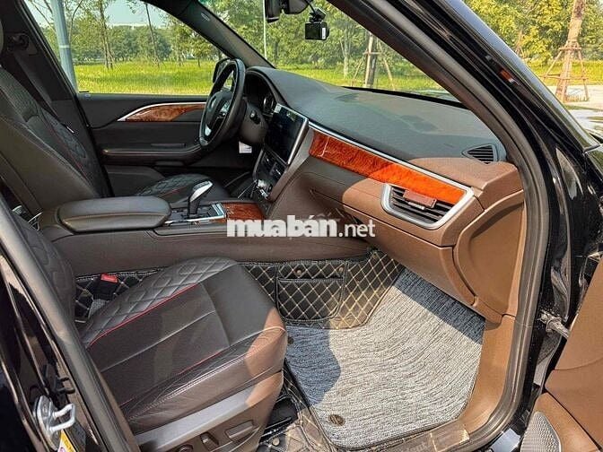 Vinfast President 2020 Đen 69.000 km