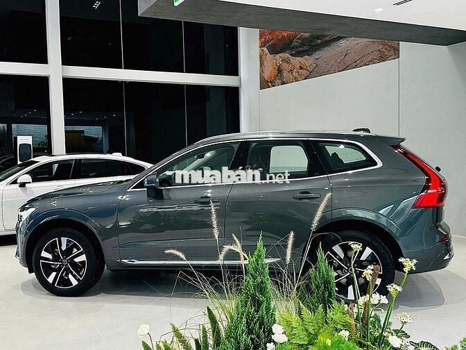 Volvo XC60 Ultra 2026 Forest Lake giảm 200 triệu