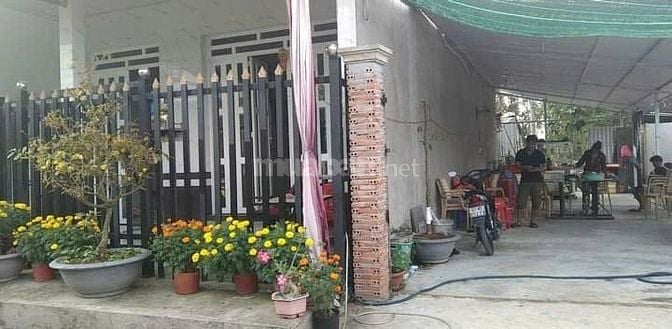 [BÁN GẤP] NHÀ VƯỜN KÉP 210M2 – MT 14M TẠI CHÂU PHÚ – DỌN VÀO Ở NGAY!