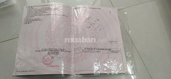 [BÁN GẤP] NHÀ VƯỜN KÉP 210M2 – MT 14M TẠI CHÂU PHÚ – DỌN VÀO Ở NGAY!