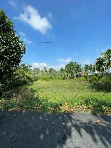 BÁN NỀN MẶT TIỀN ĐƯỜNG TỈNH 926 TRƯỜNG LONG TÂY HẬU GIANG