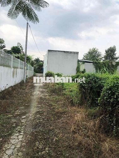 Đất nền đường Thạnh Hoà, Long Hoà B, Đạo Thạnh cách Hương Sen 150m