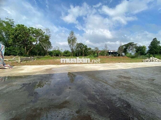 Triệu Sơn - Vân Sơn 👉Vị trí không thể đẹp hơn ❤