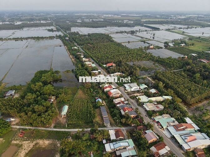 CHÍNH CHỦ BÁN - 466.2m2-BHK+ONT ĐỨC HUỆ, LONG AN GIÁ CHỈ 2TỶ (TL)