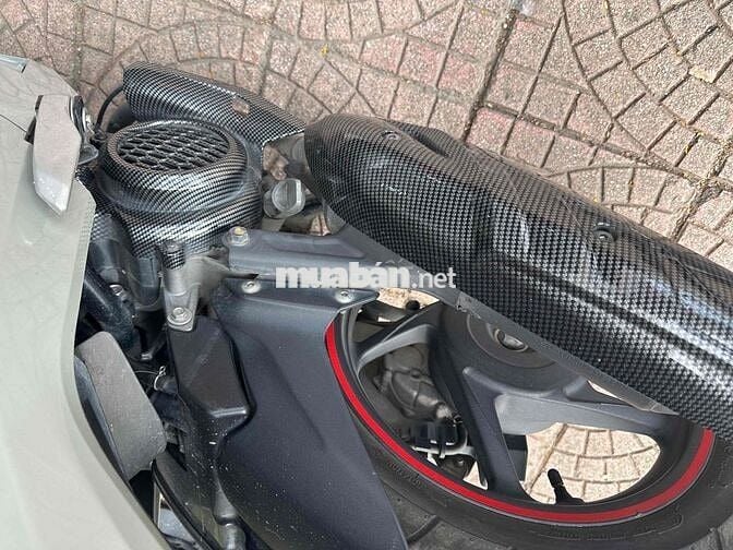 VISION XI MĂNG 2024