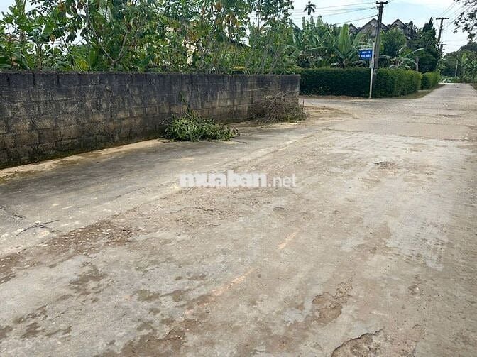 bán đất nền thổ cư hợp tiến triệu sơn thanh hóa