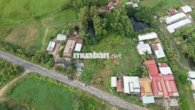 2252m2 full thổ cư - giá *** khu vực Đức Huệ