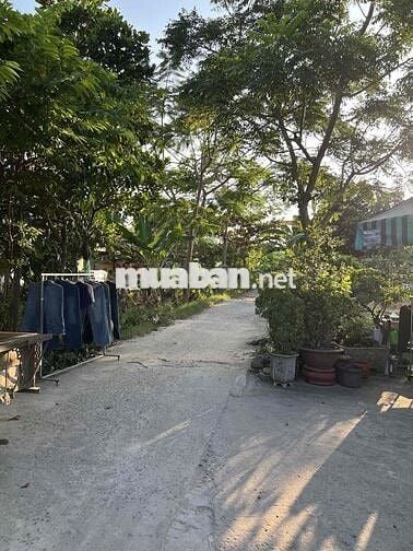 Chính Chủ Cho Thuê Nhà Nguyên Căn