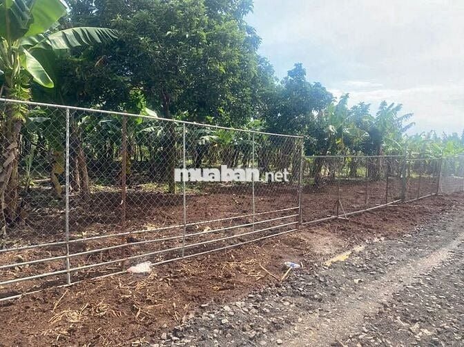 35m mặt tiền, hơn 115m suối bao sau đất. Trồng Sầu riêng, Chuối, Bơ