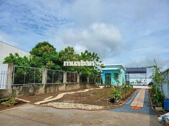 Bán nhà vườn 320m2 SHR ở 1/ Ql22 , An Tịnh , Trảng Bàng giá 1 tỉ 050tr