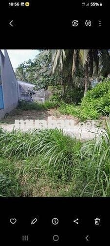 CHÍNH CHỦ TÔI CẦN BÁN GẤP LÔ ĐẤT MỎ CÀY BẾN TRE