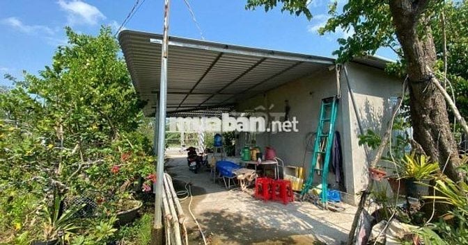 🌿 Bán 3000m2 nhà vườn sầu riêng Gia Kiệm, đất đỏ bazan, giá 1.3 tỷ/sào