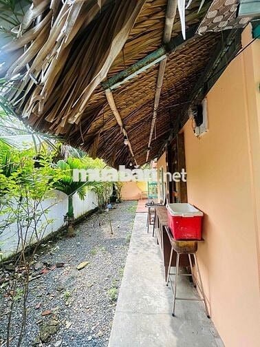 CHÍNH CHỦ CHO THUÊ BIỆT THỰ MINI