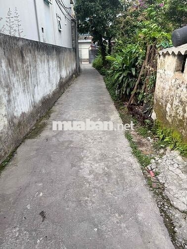 Bán Đất Tặng Nhà 2 Tầng  có thương lương j