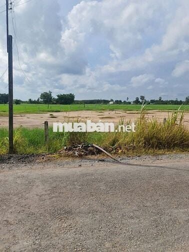 Đón đầu cao tốc TP. HCM – Mộc Bài MT kinh doanh 5x45 tc 100%,chỉ 580tr