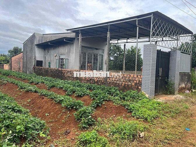 Đất hẻm Ỷ Lan, 7x35, đất nn giá 350triệu