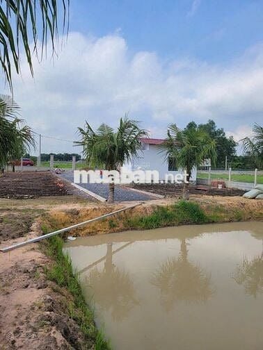 CHỦ CẦN TIỀN BÁN GẤP LÔ ĐẤT XÃ LỢI THUẬN, TÂY NINH 1400M2 GIÁ 1 TỶ