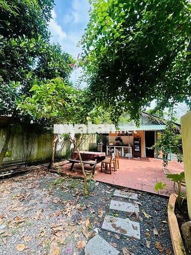 CHÍNH CHỦ CHO THUÊ BIỆT THỰ MINI