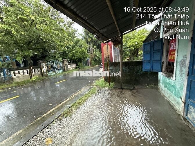 Đất nền 141m2  vị trí đẹp, tại phố Tôn Thất Thiệp, phường Tây Lộc, Huế