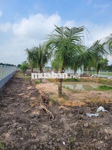 CHỦ CẦN TIỀN BÁN GẤP LÔ ĐẤT XÃ LỢI THUẬN, TÂY NINH 1400M2 GIÁ 1 TỶ