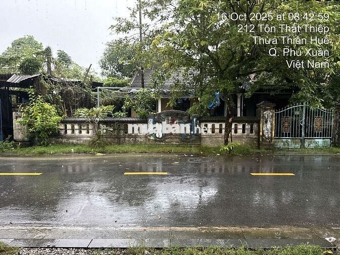 Đất nền 141m2  vị trí đẹp, tại phố Tôn Thất Thiệp, phường Tây Lộc, Huế