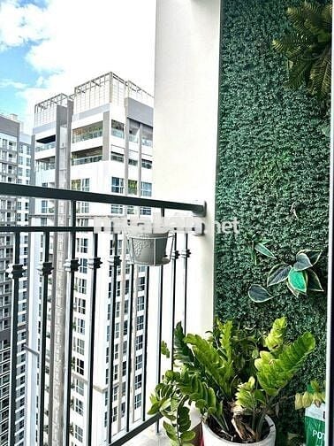 Tìm bạn Share phòng vinhomes central park