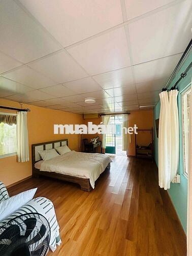 CHÍNH CHỦ CHO THUÊ BIỆT THỰ MINI