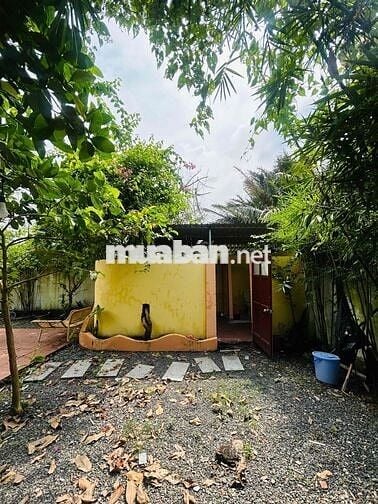 CHÍNH CHỦ CHO THUÊ BIỆT THỰ MINI